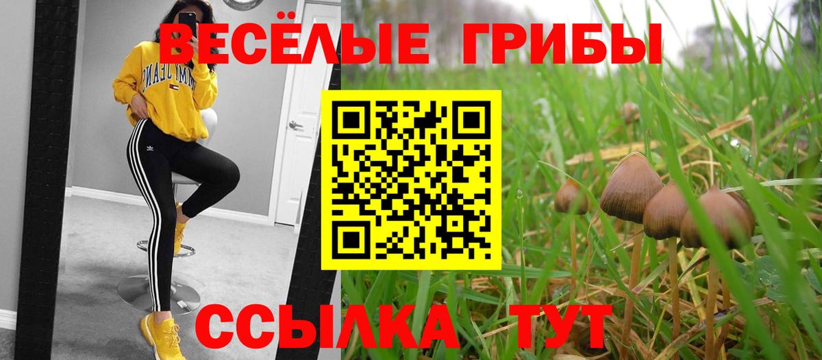 Галлюциногенные грибы Magic Shrooms  Галлюциногенные грибы ЛСД  наркота  Вход с VPN  Кемерово 